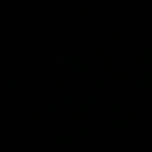 Meet your Posher, Annalee